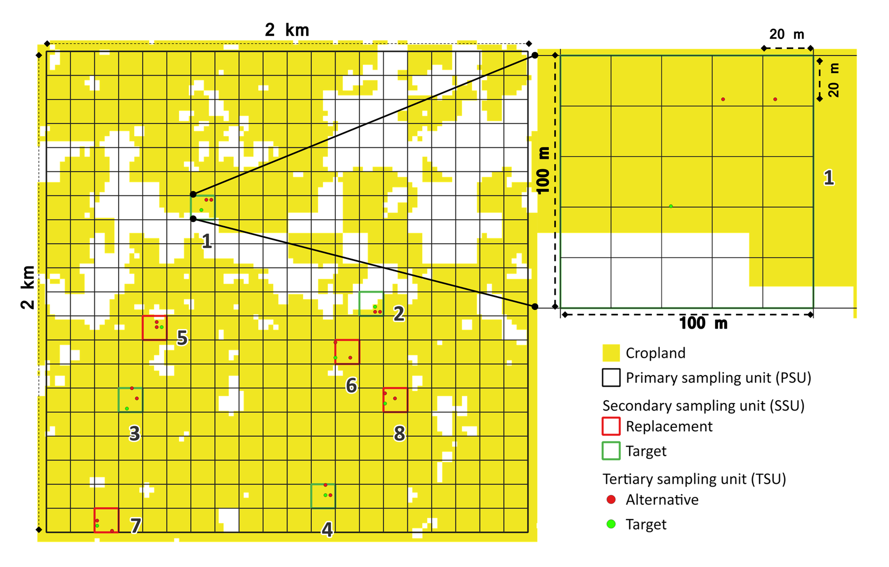 Example of a primary sampling unit with eight secondary sampling units, each containing three tertiary sampling units. Target units or points are in green, and replacements are in red.