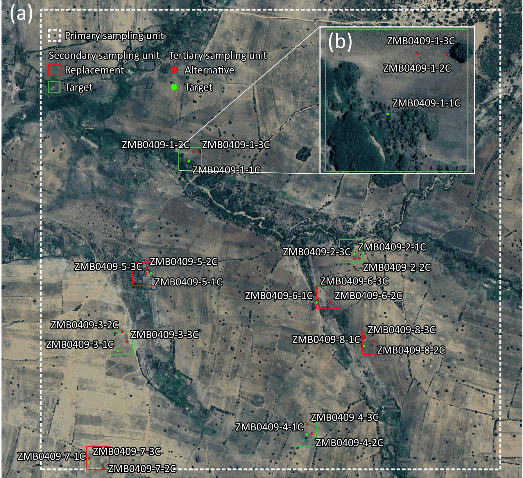 Single primary sampling unit displaying secondary sampling units (a), and a zoomed-in view of a secondary sampling unit with tertiary sampling units (b).